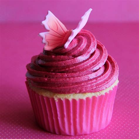 Hot Pink Butterfly Cupcakes