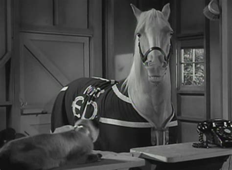 Mister Ed 1961