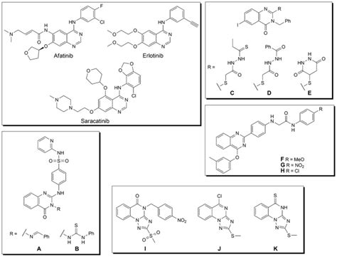 Derivatives Of Quinazoline With Anticancer Properties Download Scientific Diagram