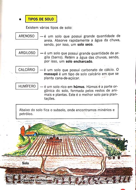 Tipos De Solo Atividades