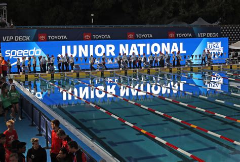 The Best Competitive Swim Team In Palo Alto — Alto Swim Club