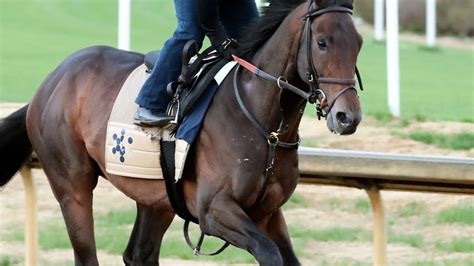 flying mohawk   belmont derby  emergency colic surgery