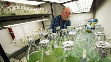 Entengr Tze Weltrekord Pflanzen Verzichten Auf Sex Oberfranken Frankenpost