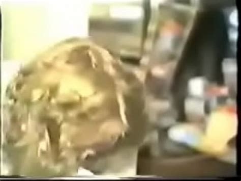 White Wife With Black Man Interracial Cuckold XVIDEOS