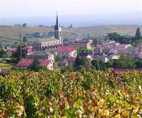 Fleurie Communauté De Communes Saône Beaujolais Site Officiel