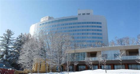 New Furano Prince Hotel Furano Hokkaido Deals And Book Scout