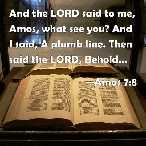 Amos 7:8 And the LORD said to me, Amos, what see you? And I said, A ...