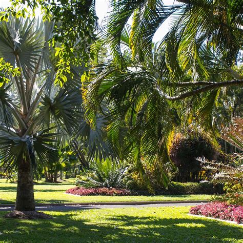 Queens Gardens Townsville North Ward Lohnt Es Sich Mit Fotos