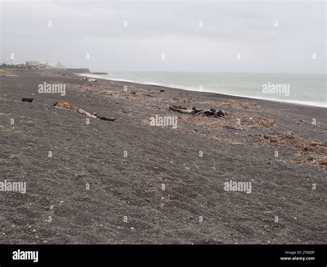 Napier Marine Parade Beach Stock Photo - Alamy