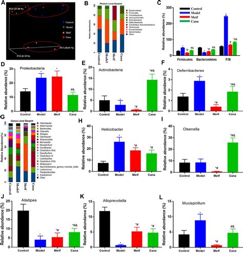 Frontiers Canagliflozin Prevents Lipid Accumulation Mitochondrial