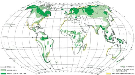 Wetlands World Map Wetlands