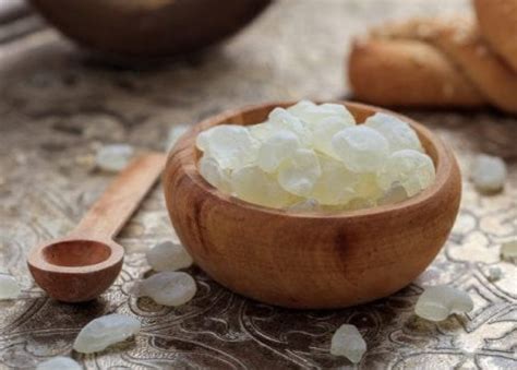 Mastic Gum: The Medicinal Gum - theartofnature.gr