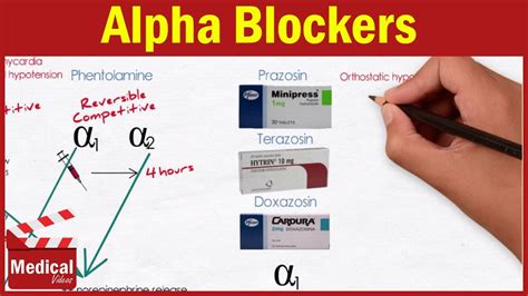 Pharmacology Ans 17 Alpha Blockers Prazosin Terazosin Doxazosin