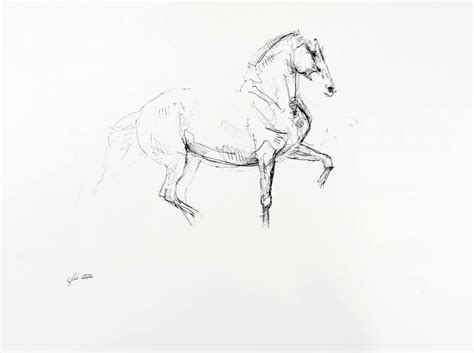 Equine Nude 30a Drawing By Benedicte Gele Saatchi Art