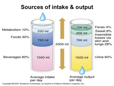 Acid Base Balance Fluid Balance