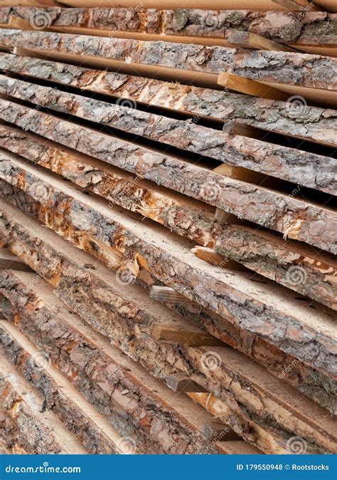 Wooden Planks Air Drying Timber Stack Stock Photo Image Of Forest