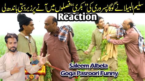 Reaction Pak Boy Chaudhry Saleem Ki Fasal Main Goga Pasroori Ki Bakkri