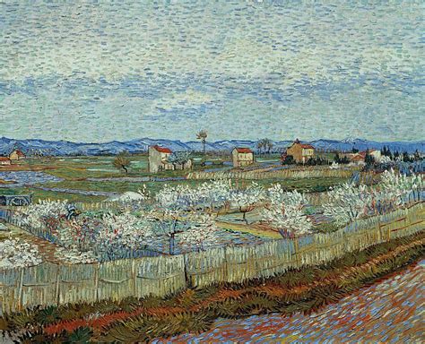 Ла-Кро с цветущими персиковыми деревьями (картина) — Винсент Ван Гог