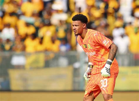 Gerhard Erasmus: Dynamic Forward Propelling Bafana Bafana And Mamelodi Sundowns
