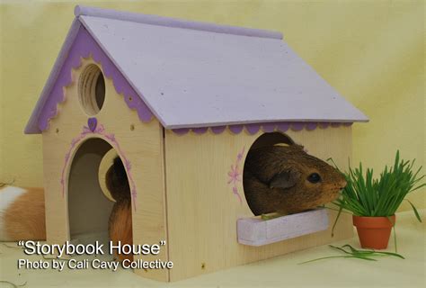 Cali Cavy Collective A Blog About All Things Guinea Pig Wooden