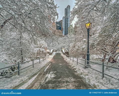 gapstow bridge central park  york city stock image image  cold