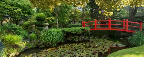 Visit The Irish National Stud And Gardens With Discover Ireland