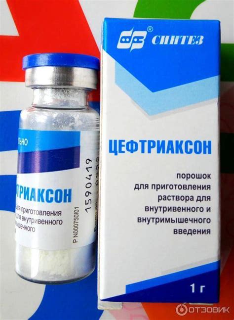 Антибиотики для кошек (уколы, таблетки, суспензии): от чего применяют ...