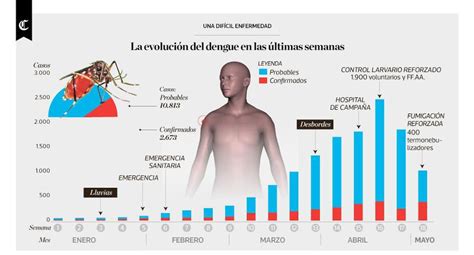 Infografía La Evolución Del Dengue En Las últimas Semanas Peru El