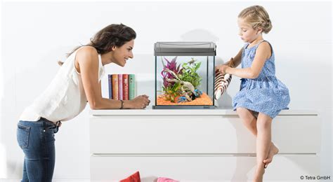 Entdecke eine Vielfalt an Aquaristikprodukten beim Experten Tetra: Tetra