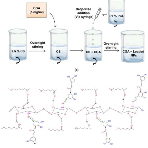 Various Kinetic Models For In Vitro Release Of Cga And Cga Nps