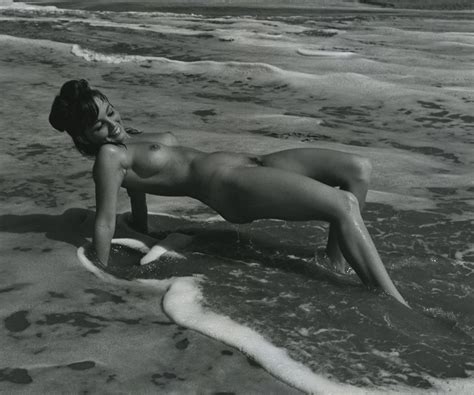 Greendragon S Hot Pics Gallery 223 499