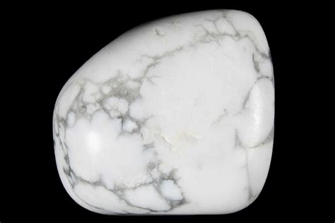 Large Tumbled White Howlite Stones For Sale FossilEra