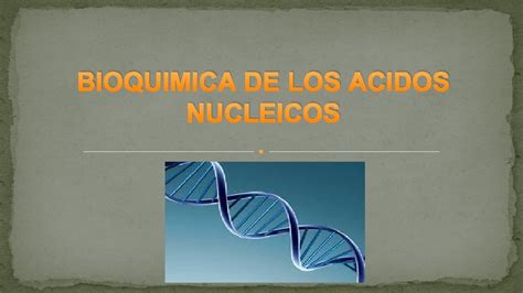 Bioquimica De Los Acidos Nucleicos Historia Los Cidos