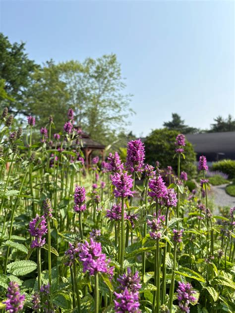 These secret Express locations offer deeper discounts than outlets 2