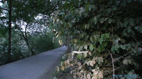 PublicScanner PublicAgent Petra Short Blonde Flashes Tits And Fucks Dicks For Cash