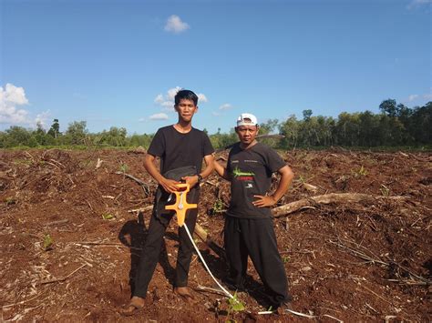 Perusahaan Ini Diduga Serobot Dan Rusak Tanaman Panen Kayu Akasia Yang