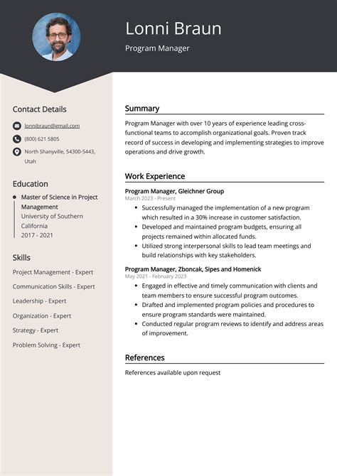 Program Manager Resume Examples Template And 20 Tips