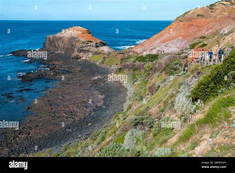 Cape Schanck Mornington Peninsula Victoria Australia Landforms