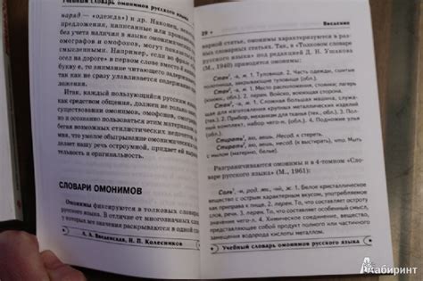 Иллюстрация 6 из 14 для Учебный словарь омонимов русского языка ...