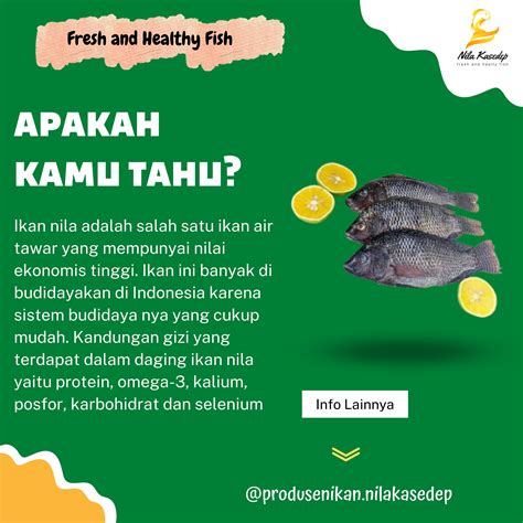 Gizi Ikan Nila Homecare24