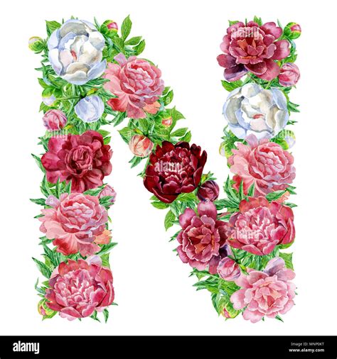 Letter N Flowers Hi Res Stock Photography And Images Alamy