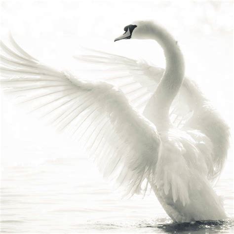 Тихая гавань - поэзия души