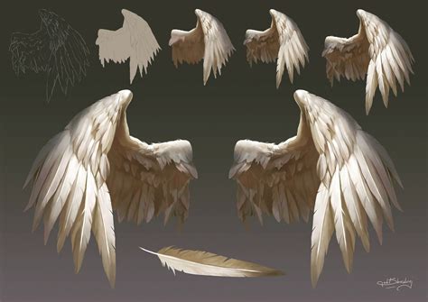 How To Draw Wings In 6 Steps Tutorial By Nikkitwoshoe