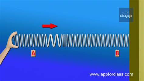 Longitudinal Wave Animated Gif