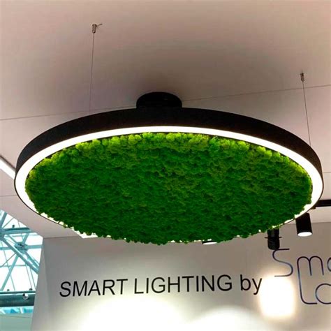 Декоративный светильник с мхом ФитоЛайт Лаэтия | ФИТОСТЕНА