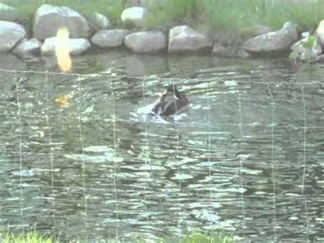 Sex Unter Wasser Youtube