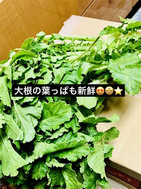 Kakaが投稿したフォト「たった今 妹より新鮮採りたて野菜が クール便で到着🙌🏻🤣💕」 2022 12 02 123726