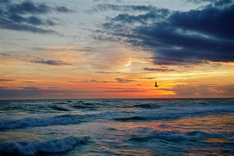 10 Places Where the Most Shark Attacks Happen