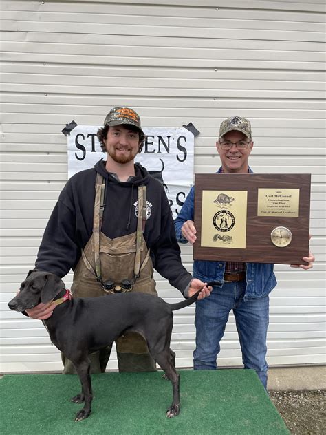 elmore cannon stephens 6