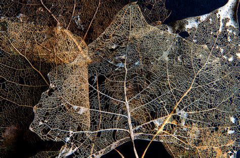 「2108」の画像 - 303 件の Stock 写真、ベクターおよびビデオ | Adobe Stock